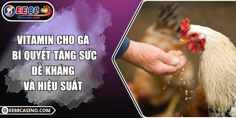 Vitamin cho gà