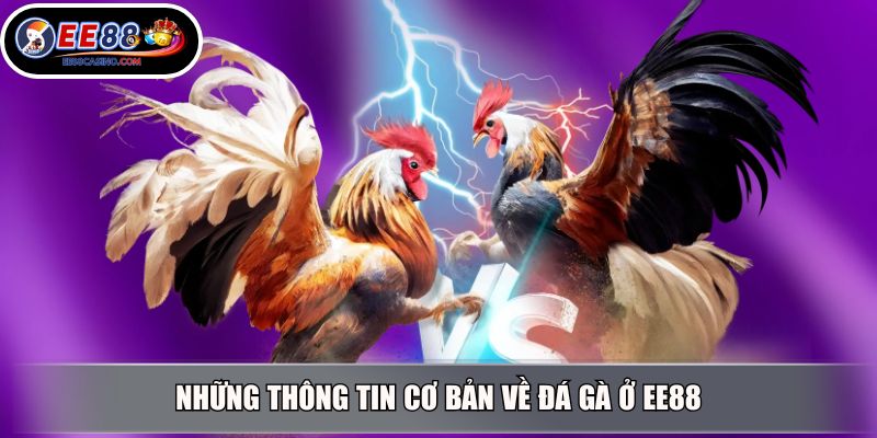Những thông tin cơ bản về đá gà ở EE88